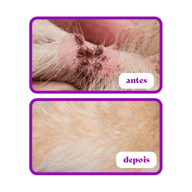 PetProtect - Colar Anti Pulgas e Carrapatos Que Protege Seu Pet Por Até 8 Meses [Compre 1 Leve 2]